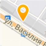 Васильева 3 Детский Магазин