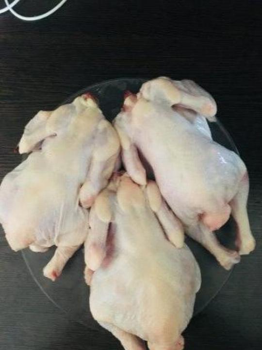 Куры Корнишоны Фото
