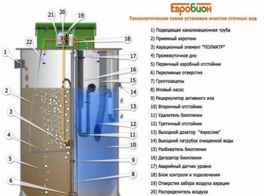 Евробион септик схема