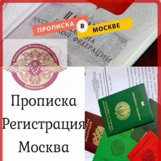 Московская Регистрация Фото